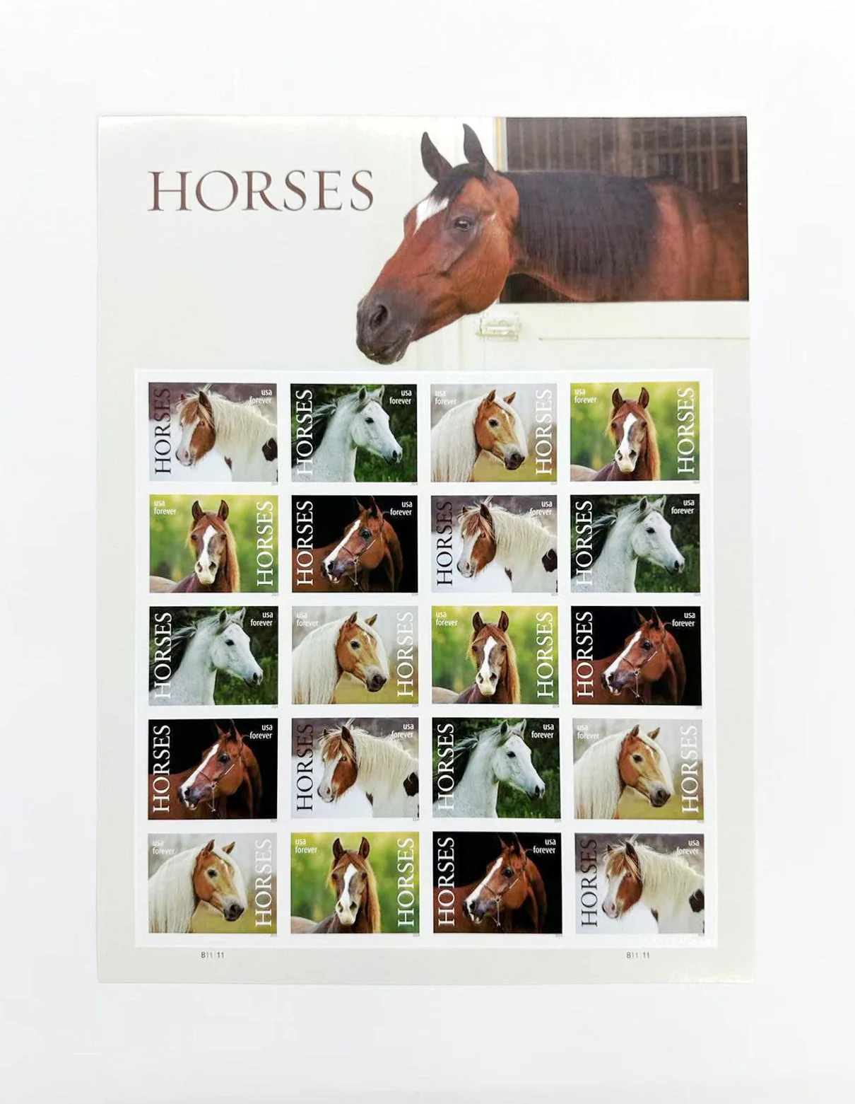 Animals